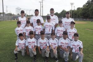 Johnson County falls 12-11 in 7-8-year-old All-Stars